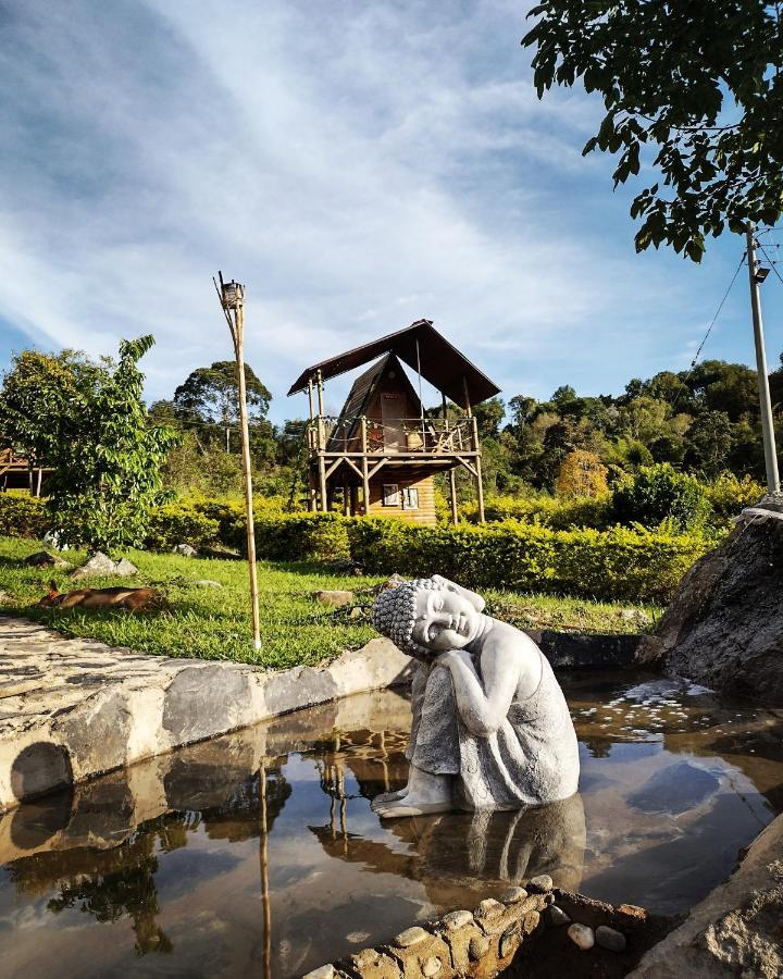 De Angeles Glamping Campsite 2*