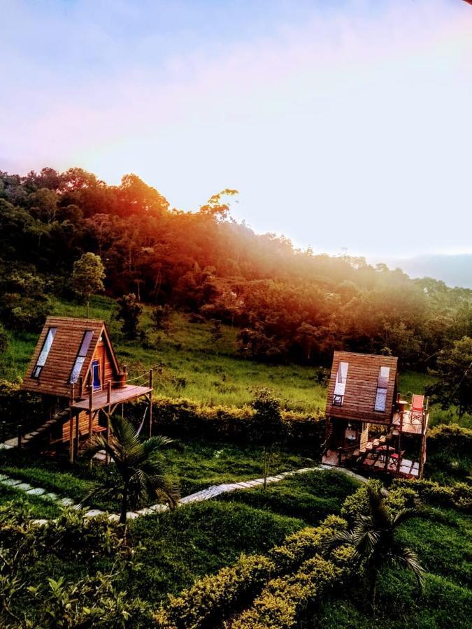 De Angeles Glamping Campsite 2*